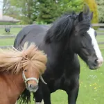 Riversdale Farm 3*