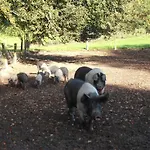 Pensión Riversdale Farm 3*
