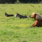 Pensión Riversdale Farm 3*