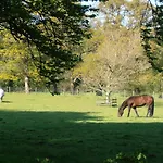 Riversdale Farm Ballinamore