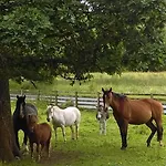 Riversdale Farm