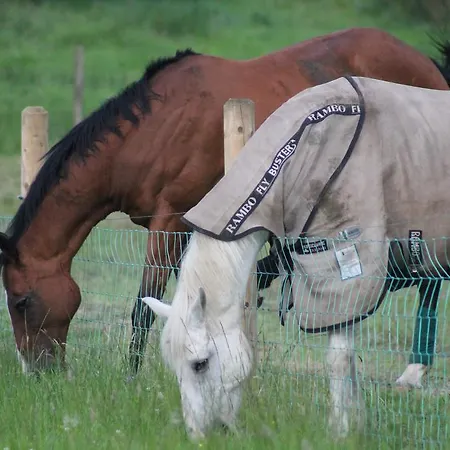 ゲストハウス Riversdale Farm バリーナモア