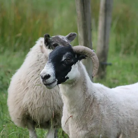 Riversdale Farm B&B 3* Ballinamore