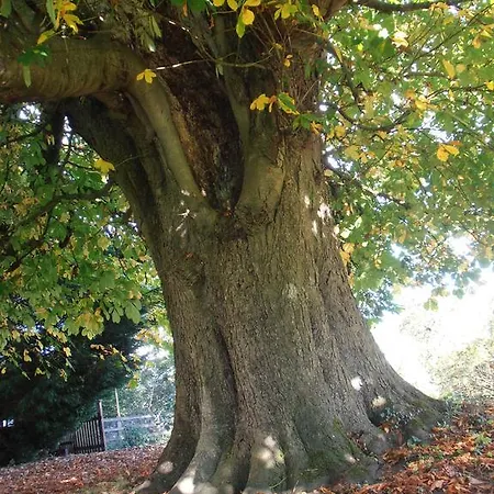 Pensjonat Riversdale Farm Ballinamore