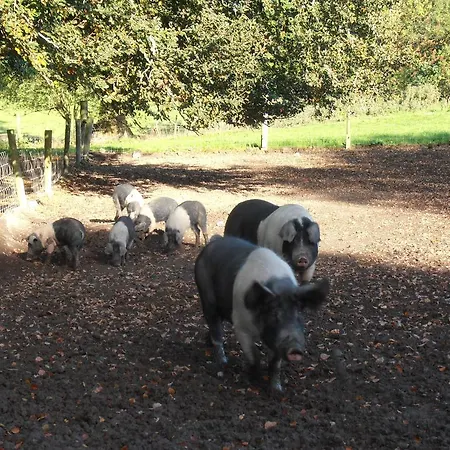 Pensjonat Riversdale Farm 3*