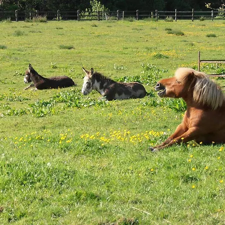 Gæstehus Riversdale Farm 3*