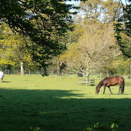 Riversdale Farm バリーナモア