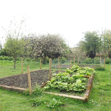 ゲストハウス Riversdale Farm