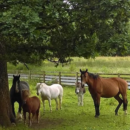 Riversdale Farm B&B